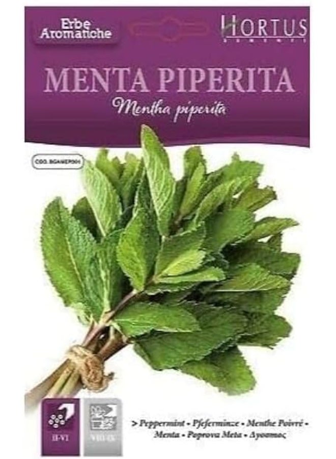 بذور نعناع فلفلي (مينتا بيبريتا) عالية الجودة من هورتوس